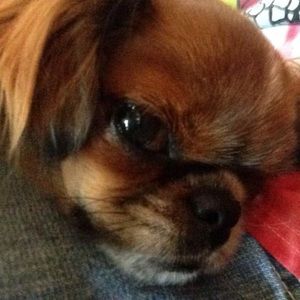 Meet your Posher, Linda